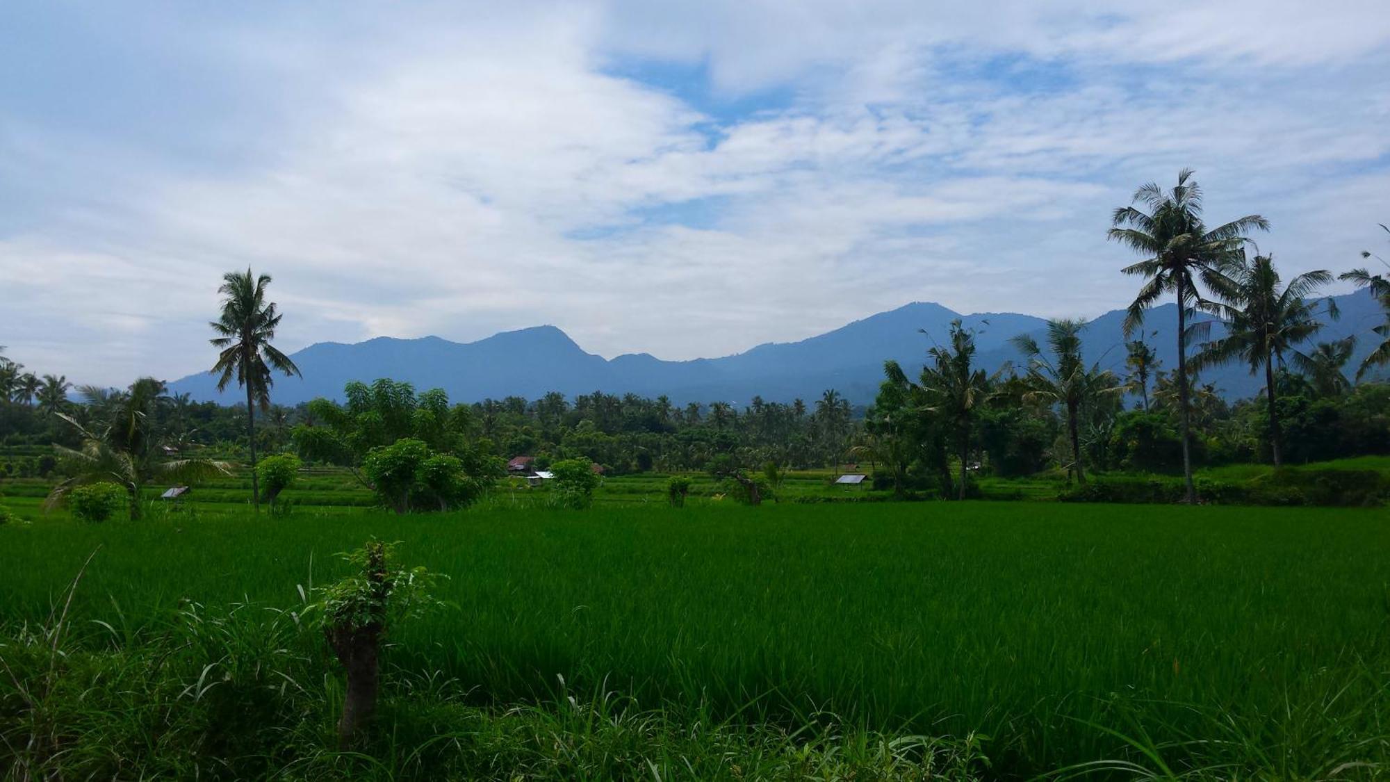 Pondok Manis Singaraja Esterno foto