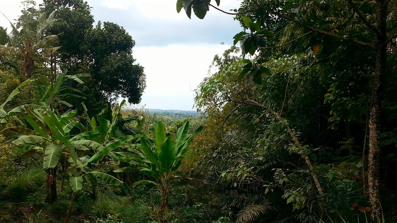 Pondok Manis Singaraja Esterno foto